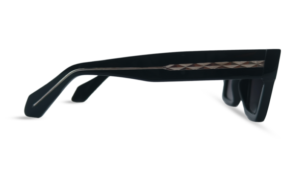 Tedwoods Full Rim Rectangle Acetate - Image 15