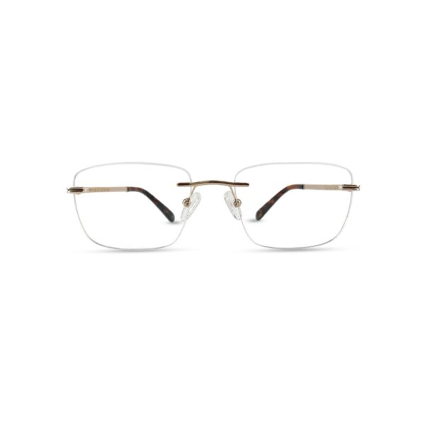 Tedwoods Rimless Square - Image 11